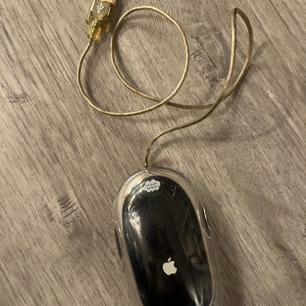 Rare Apple Pro Clear Black Mouse